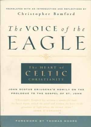 Cover of the book The Voice of the Eagle by Rudolf Steiner, George O'Neil