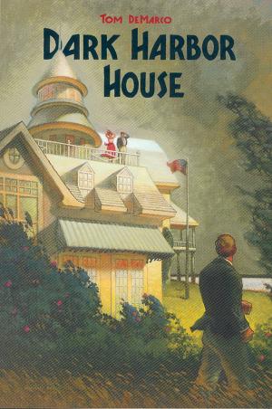 Cover of the book Dark Harbor House by Walter Macdougall