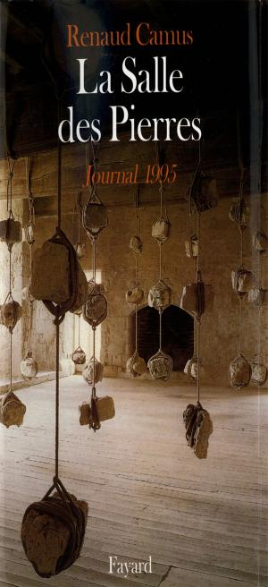 Cover of the book La Salle des Pierres by Jacques Attali