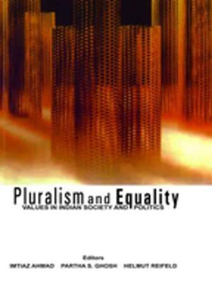 Cover of the book Pluralism and Equality by Joe Gisondi