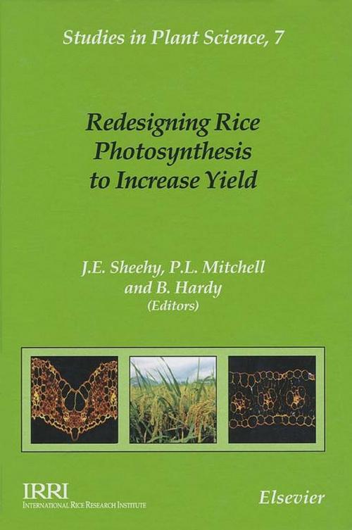 Cover of the book Redesigning Rice Photosynthesis to Increase Yield by P.L. Mitchell, B. Hardy, Elsevier Science