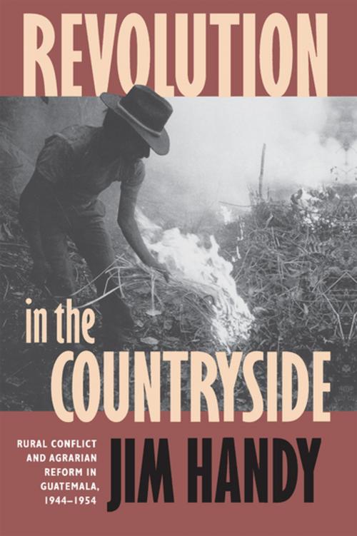 Cover of the book Revolution in the Countryside by Jim Handy, The University of North Carolina Press