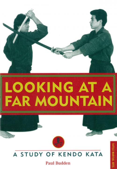 Cover of the book Looking at a Far Mountain by Paul Budden, Tuttle Publishing