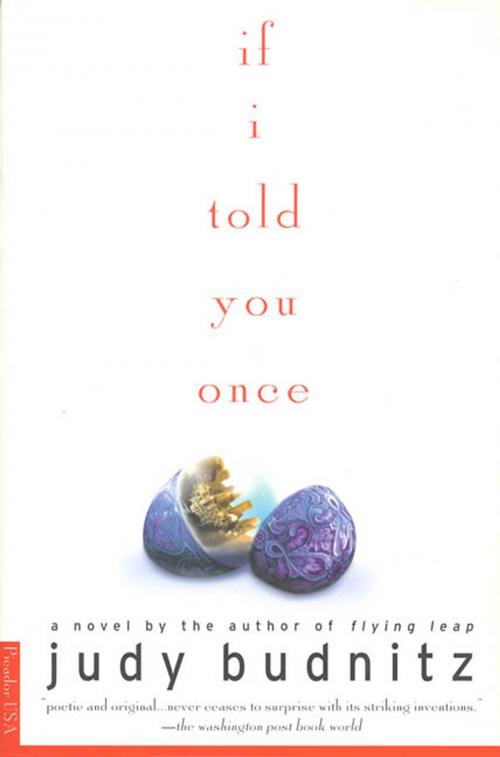 Cover of the book If I Told You Once by Judy Budnitz, Picador