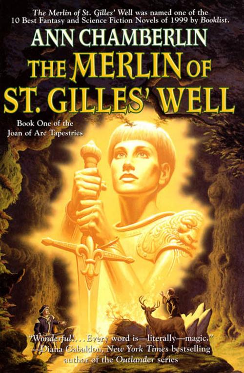 Cover of the book The Merlin of St. Gilles' Well by Ann Chamberlin, Tom Doherty Associates