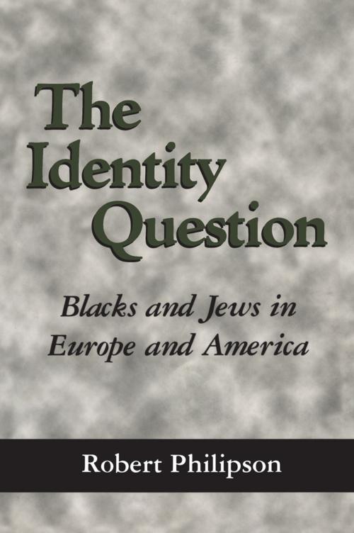 Cover of the book The Identity Question by Robert Philipson, University Press of Mississippi