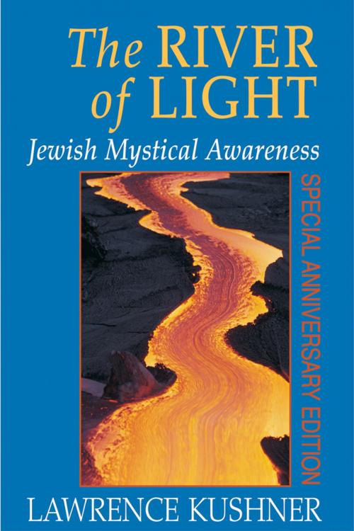 Cover of the book The River of Light by Lawrence Kushner, Jewish Lights Publishing