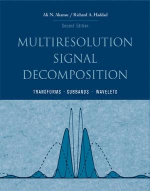 Book cover of Multiresolution Signal Decomposition