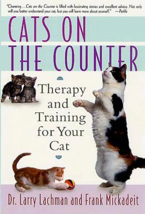 Cover of the book Cats on the Counter by Andrew Nugent