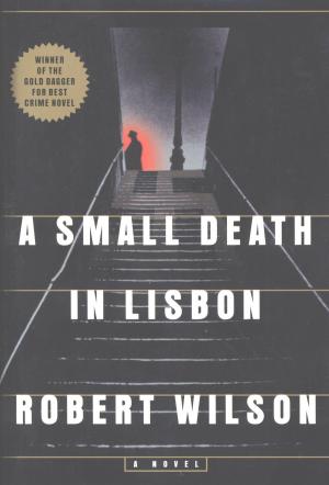 Cover of the book A Small Death in Lisbon by Adam Sexton