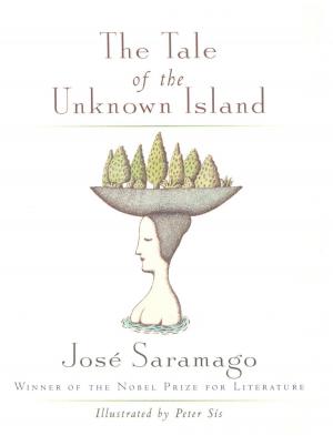 Cover of the book The Tale of the Unknown Island by Cornelia Amiri