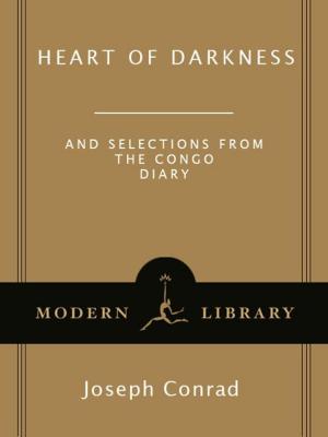 Cover of the book Heart of Darkness by Peter O. Steiner