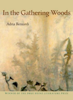 Book cover of In the Gathering Woods