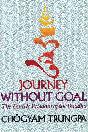 Cover of the book Journey Without Goal by Ringu Tulku