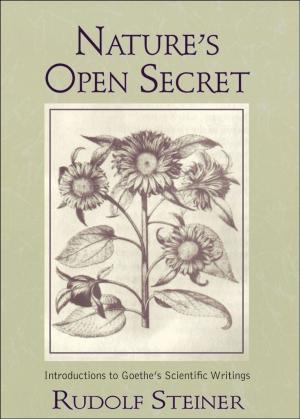 Cover of the book Nature's Open Secret by Robert Powell