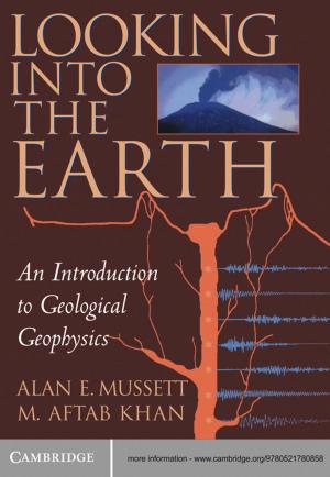 bigCover of the book Looking into the Earth by 