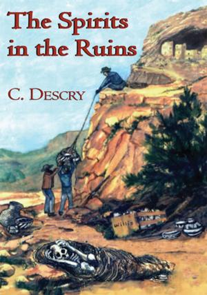 Cover of the book The Spirits in the Ruins by Mary Langton