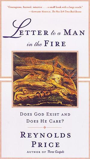 Cover of the book Letter To A Man In The Fire by Jennifer Vanderbes