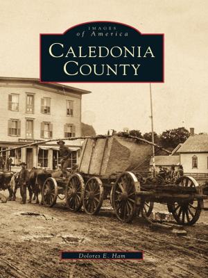 Cover of the book Caledonia County by Tribe, Deanna L., Vinton County Historical and Genealogical Society