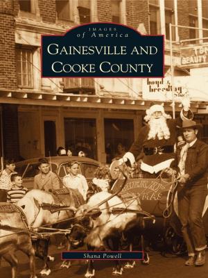 Cover of the book Gainesville and Cooke County by Steve Chou