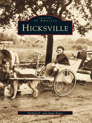 Cover of the book Hicksville by Vivian Perry, John Vincent