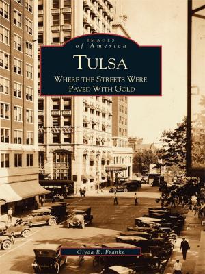 Cover of the book Tulsa by Meenal Atul Pandya
