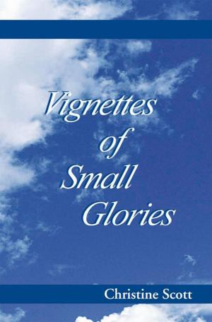 Cover of the book Vignettes of Small Glories by Richard J. Rolwing