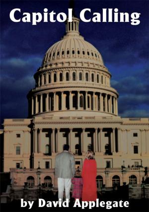 Cover of the book Capitol Calling by L.W. Samuelson