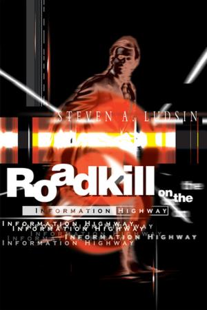 Cover of the book Roadkill on the Information Highway by Johnny Holloway