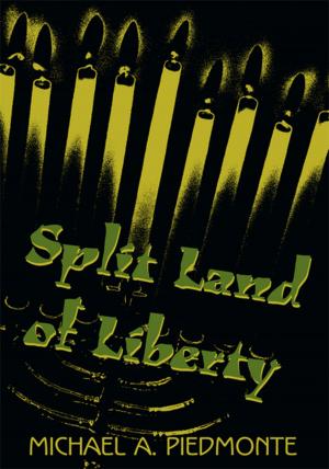 Cover of the book Split Land of Liberty by S.P. Moran