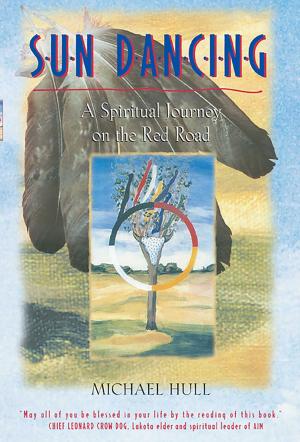 Cover of the book Sun Dancing by Susan Griffith-Jones
