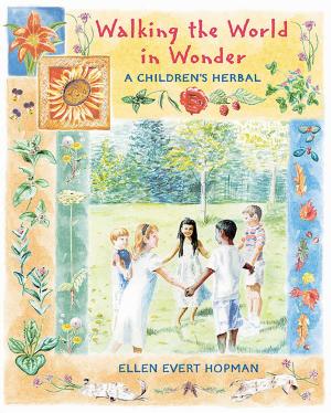Book cover of Walking the World in Wonder