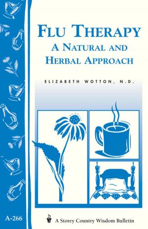 Cover of the book Flu Therapy: A Natural and Herbal Approach by Linda Allen, Dianna Robin Dennis