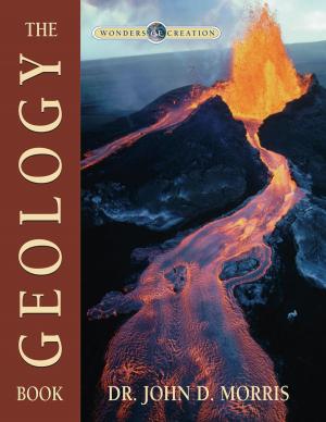 Cover of the book The Geology Book by John Hudson Tiner