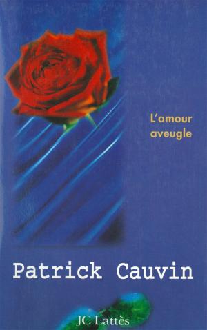 Cover of the book L'amour aveugle by Martine Simon- Le Luron