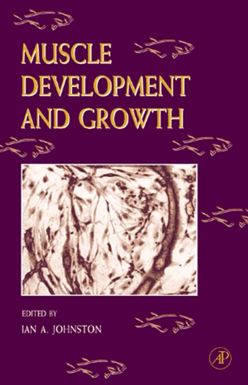 Cover of the book Fish Physiology: Muscle Development and Growth by William S. Hoar, Anthony P. Farrell, Ian A. Johnston, Elsevier Science