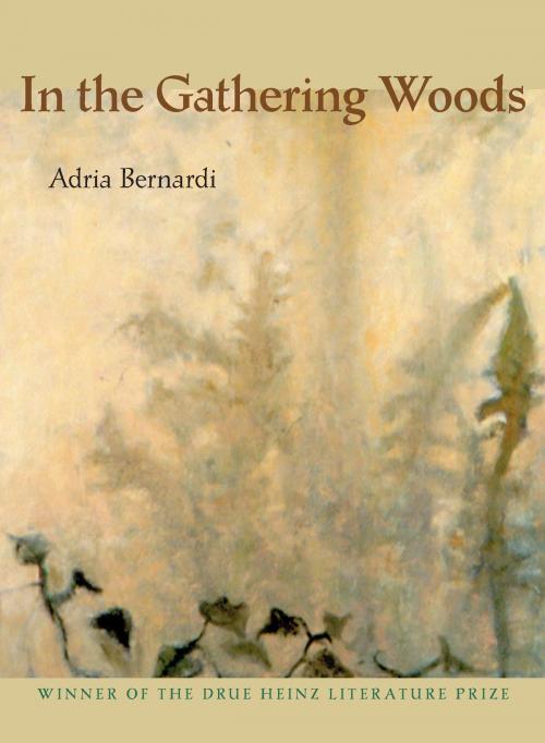 Cover of the book In the Gathering Woods by Adria Bernardi, University of Pittsburgh Press