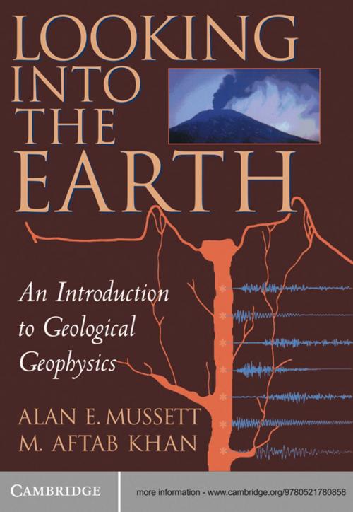 Cover of the book Looking into the Earth by Alan E. Mussett, M. Aftab Khan, Cambridge University Press