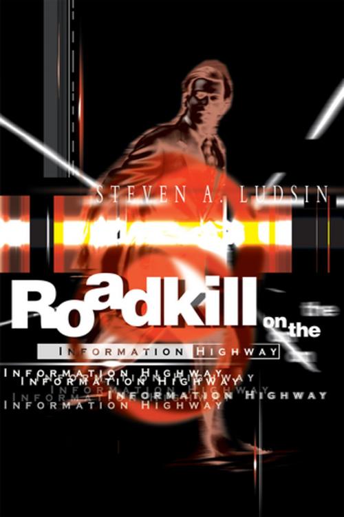 Cover of the book Roadkill on the Information Highway by Steven A. Ludsin, iUniverse
