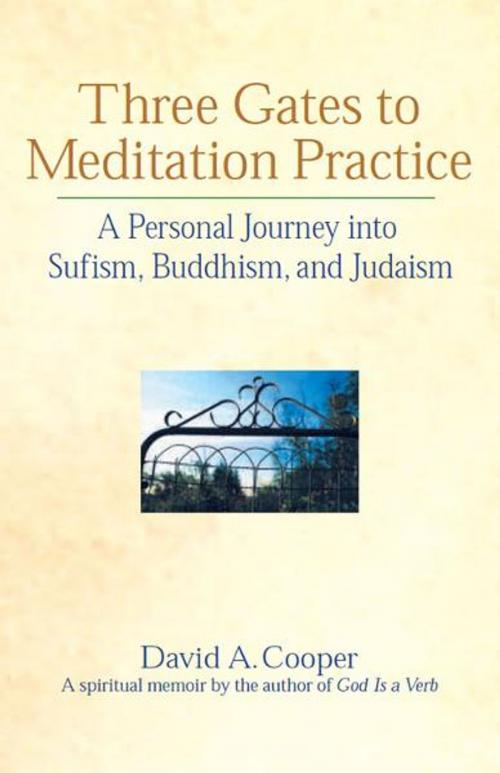 Cover of the book Three Gates to Meditation Practice: A Personal Journey into Sufism, Buddhism, and Judaism by David A. Cooper, SkyLight Paths Publishing