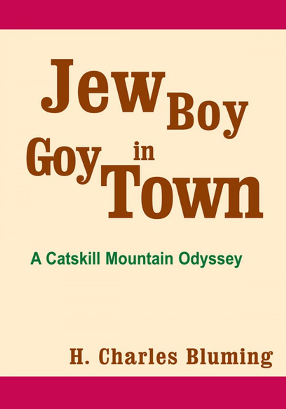 Big bigCover of Jew Boy in Goy Town