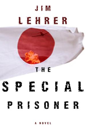 Book cover of The Special Prisoner