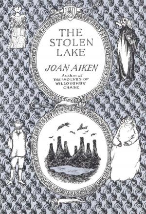 Cover of the book The Stolen Lake by Linda Williams Jackson