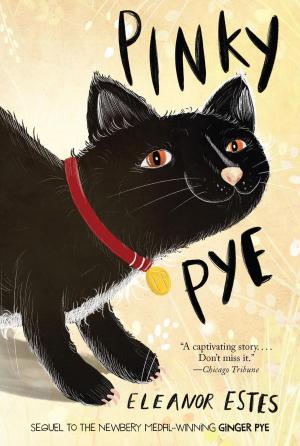 Cover of the book Pinky Pye by Gerald Morris