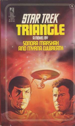 Cover of the book Triangle by D.L. Morrese
