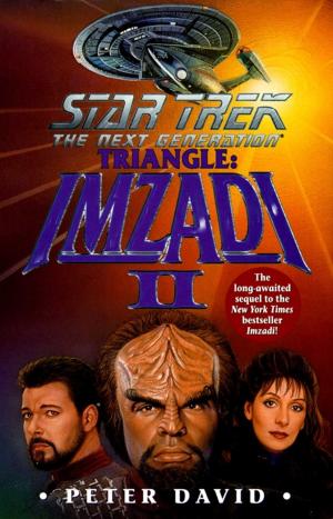 Book cover of Star Trek: The Next Generation: Triangle: Imzadi II