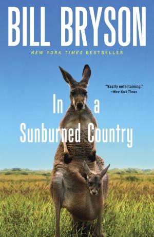 Cover of the book In a Sunburned Country by Louise Ackermann