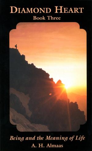 Cover of the book Diamond Heart: Book Three by Fritjof Capra