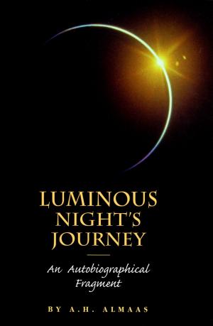 Cover of the book Luminous Night's Journey by Sarah Harding