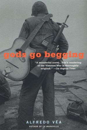 Cover of the book Gods Go Begging by David Rowell